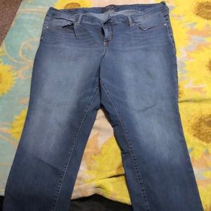 Torrid Jeans